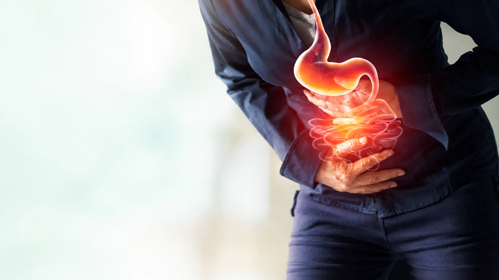 Ilustración del esófago, estómago e intestinos superpuesta sobre el torso de una persona