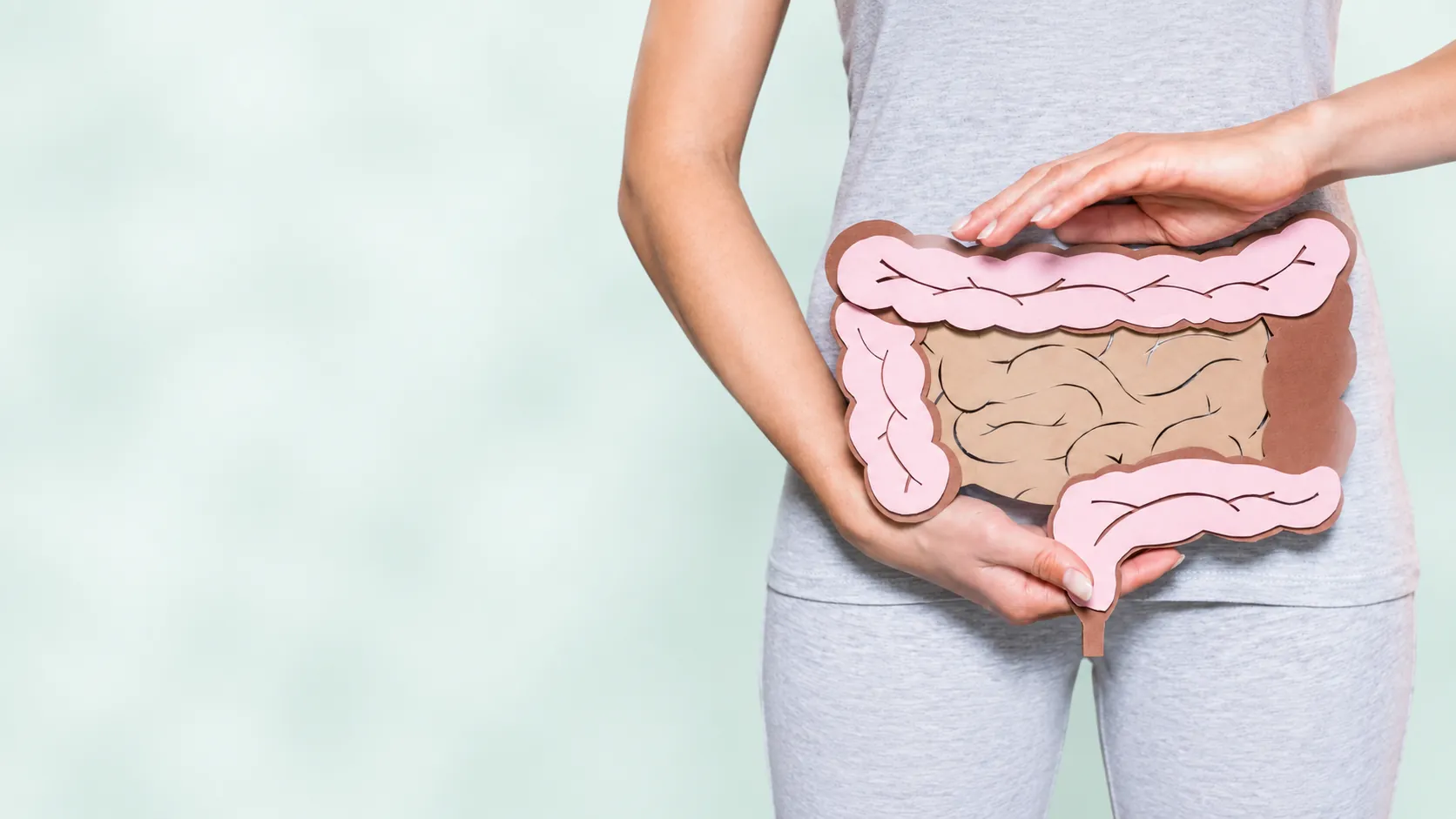 Persona sosteniendo una ilustración de papel del intestino sobre el abdomen