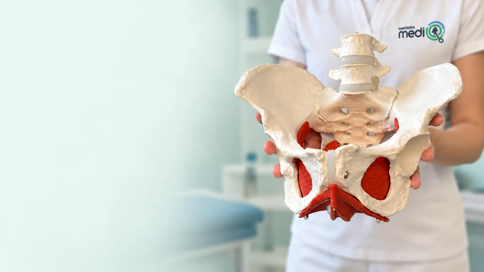 Modelo anatómico de la pelvis y el suelo pélvico sostenido por un profesional sanitario