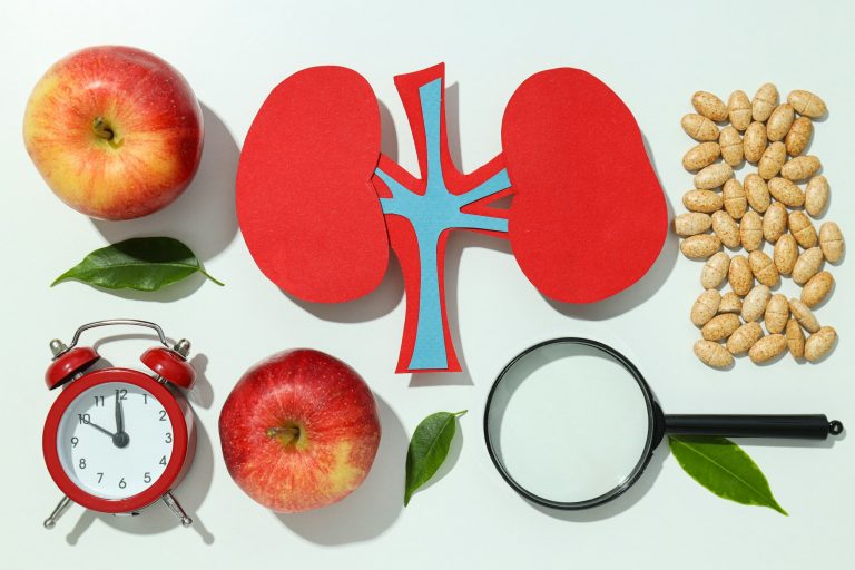 Kidneys on a light background, for National Kidney Month.